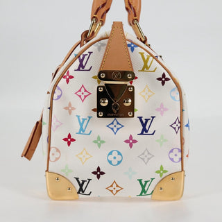 Louis Vuitton Speedy Handbag Monogram Multicolor