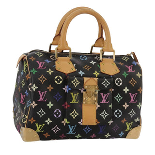 Louis Vuitton Speedy Handbag Monogram Multicolor