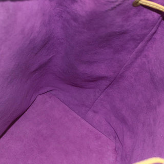 Louis Vuitton Noe Handbag Epi leather