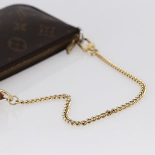 Louis Vuitton Pochette Accessoires Monogram Canvas