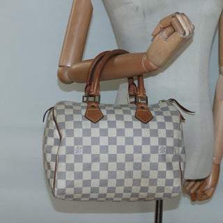 Louis Vuitton Speedy Handbag Damier