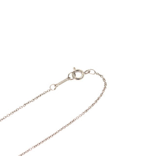 Tiffany & Co. Elsa Peretti Teardrop Necklace Silver 925