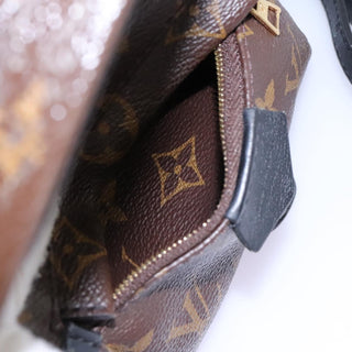 Louis Vuitton Palm Springs Backpack Monogram Canvas