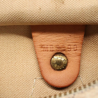 Louis Vuitton Speedy Handbag Damier