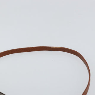 Louis Vuitton Papillon Pochette Monogram Canvas