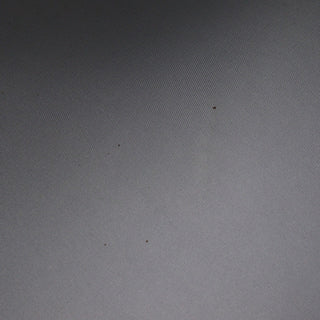 Chanel Biarritz Hobo Quilted Coated Canvas