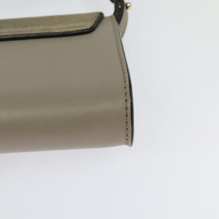 Chloe Faye Shoulder Bag Leather and Suede