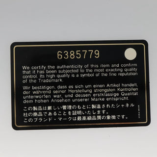 Chanel Travel Line Wallet on Chain Quilted Nylon