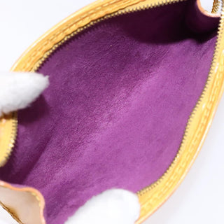 Louis Vuitton Pochette Accessoires Epi Leather