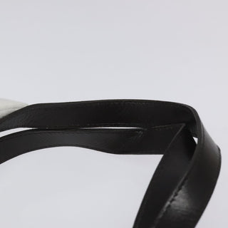 Christian Dior Trotter Canvas