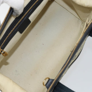 Louis Vuitton Josephine Handbag Mini Lin