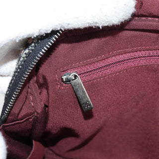 Chanel Paris-Dallas Camera Case Tweed