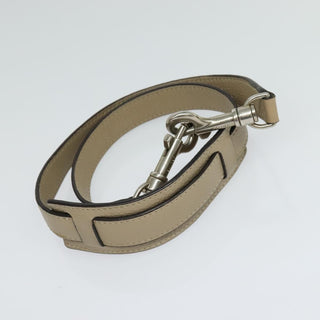 Celine Trapeze Bag Leather with Suede