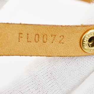 Louis Vuitton Florentine Waist Bag Monogram Canvas