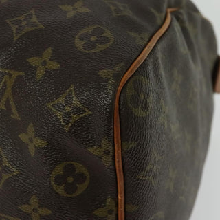 Louis Vuitton Speedy Handbag Monogram Canvas