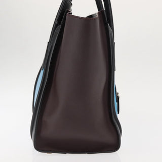 Celine Tricolor Luggage Bag Leather