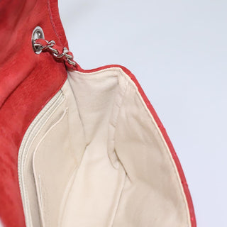 Chanel Natural Beauty Flap Bag Suede