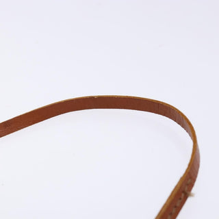 Louis Vuitton Papillon Pochette Monogram Canvas