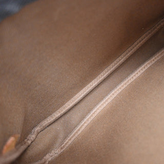 Louis Vuitton Pochette Accessoires Monogram Canvas