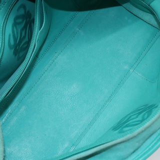 Loewe Amazona Bag Suede