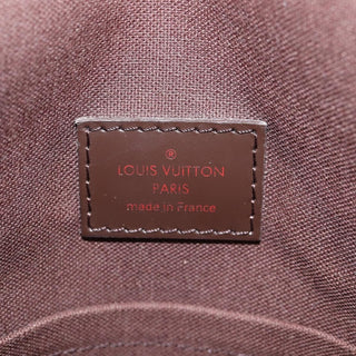 Louis Vuitton Brooklyn Handbag Damier