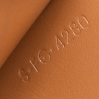 Celine Strap wallet Triomphe coated canvas