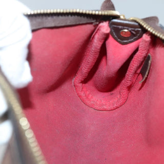 Louis Vuitton Eva Handbag Damier