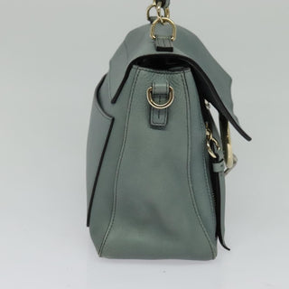 Chloe Faye Day Bag Leather