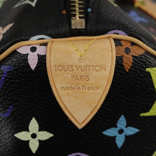 Louis Vuitton Speedy Handbag Monogram Multicolor