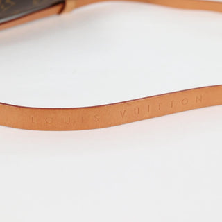 Louis Vuitton Florentine Waist Bag Monogram Canvas