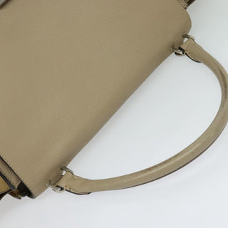 Celine Trapeze Bag Leather with Suede