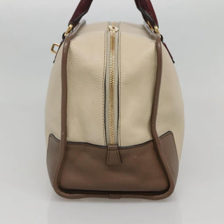 Loewe Amazona Bag Leather