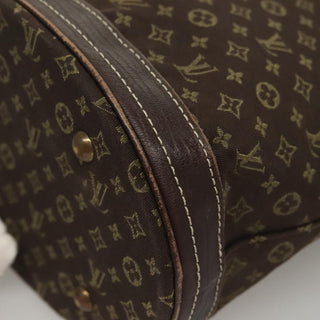 Louis Vuitton Bucket Bag Canvas