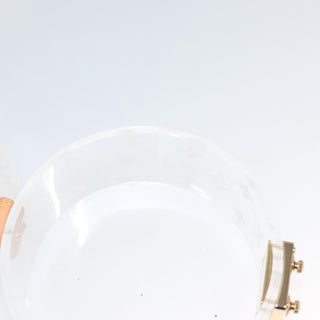 Louis Vuitton Box Scott Trunk Monogram Plexiglass