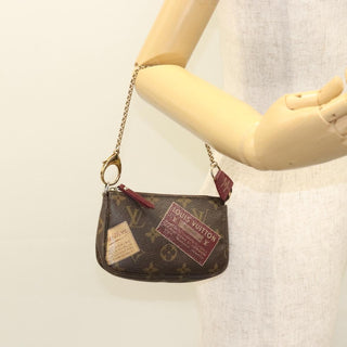 Louis Vuitton Pochette Accessoires Monogram Canvas