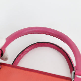 Loewe Amazona Bag Leather