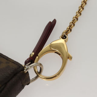 Louis Vuitton Pochette Accessoires Monogram Canvas
