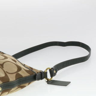 Coach Bag Sling