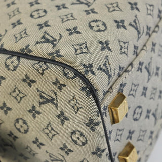 Louis Vuitton Josephine Handbag Mini Lin