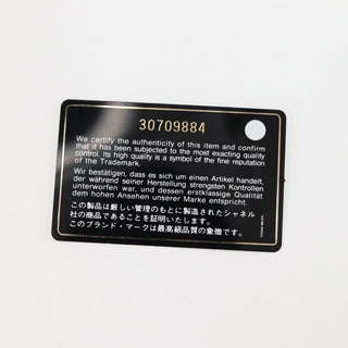 Chanel Chain Frame CC Drawstring Bucket Bag Lambskin