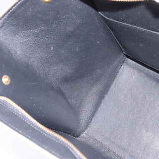 Celine Trapeze Bag Canvas with Leather