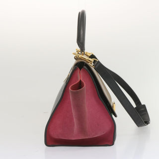 Celine Trapeze Bag Leather with Suede