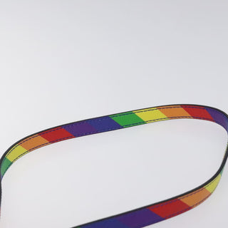 Balenciaga Everyday Camera Bag Printed Leather