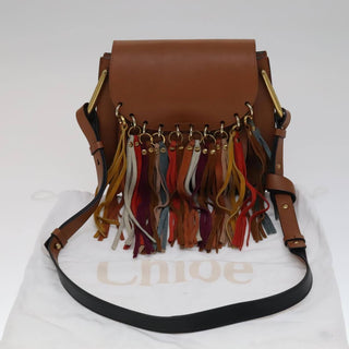 Chloe Multicolor Fringe Hudson Bag Leather