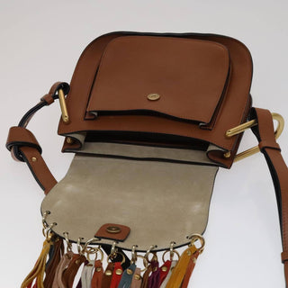 Chloe Multicolor Fringe Hudson Bag Leather