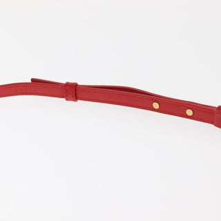 Bottega Veneta Daisey Bag Leather