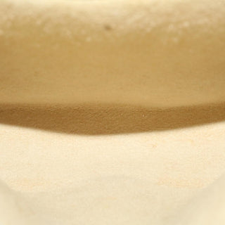 Louis Vuitton Florentine Waist Bag Monogram Canvas