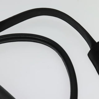 Celine Trapeze Bag Leather with Suede