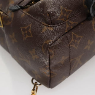 Louis Vuitton Palm Springs Backpack Monogram Canvas