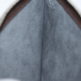 Louis Vuitton Neverfull Pochette Leather